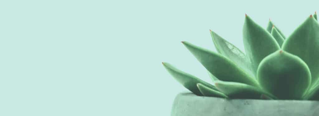 ISO+ Inhoud van de iso 9001