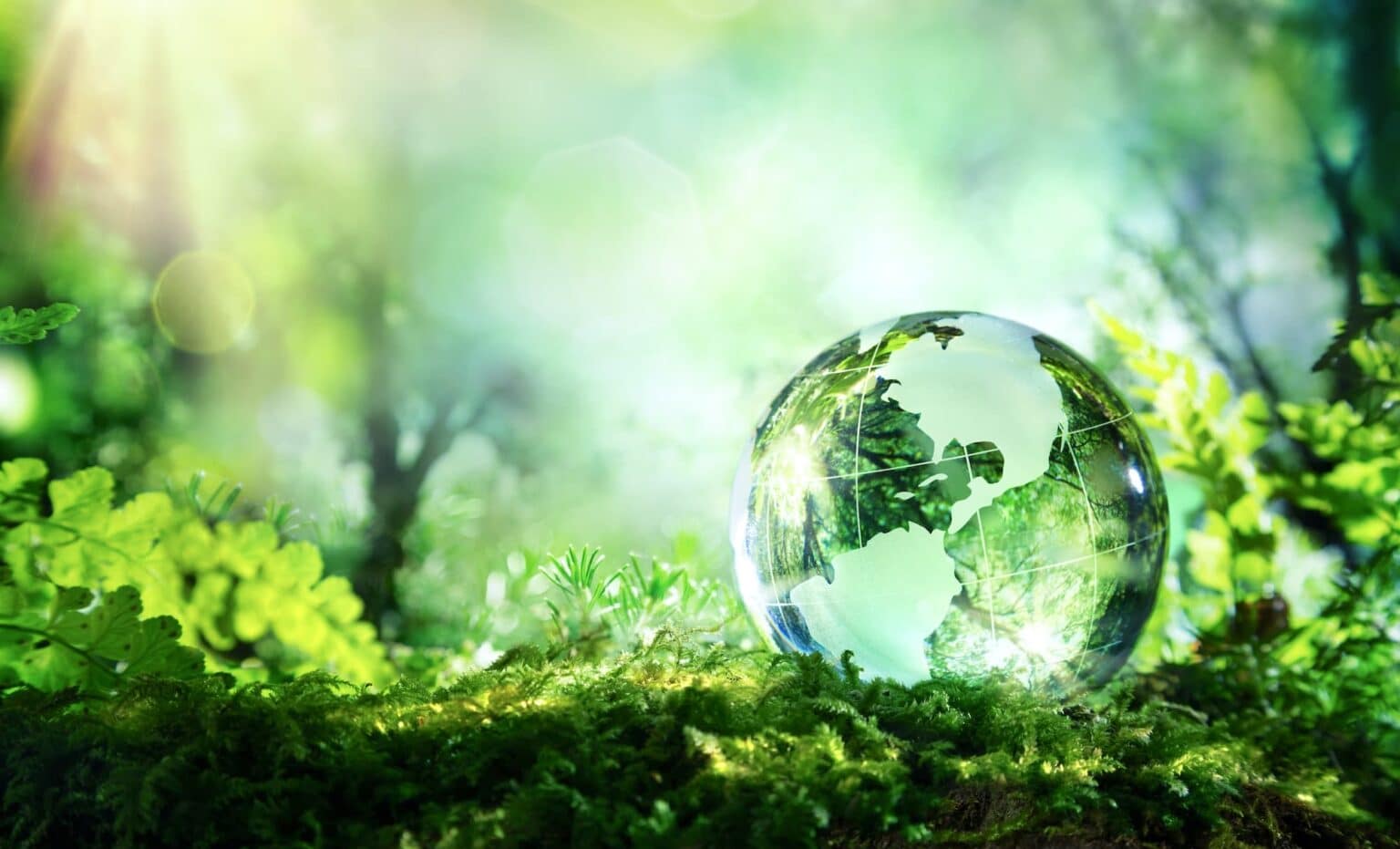 Klimaatverandering Is Nieuw In De ISO 9001 klimaatverandering-is-nieuw-in-de-iso-9001